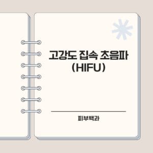 고강도 집속 초음파 (HIFU)