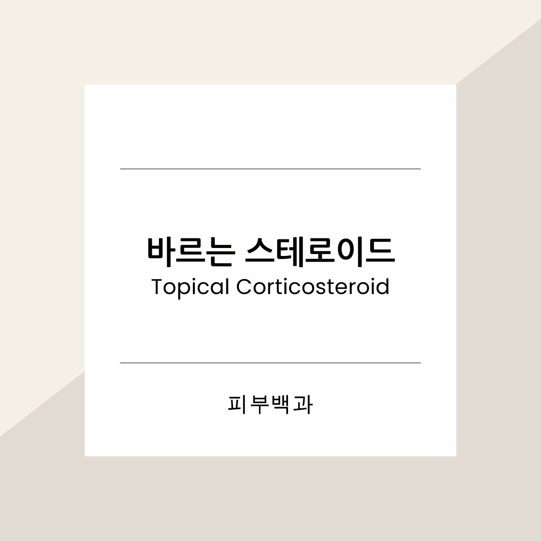 바르는 스테로이드 (topical corticosteroid)